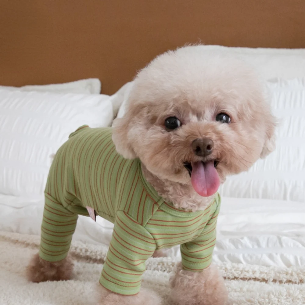 Jersey a rayas para perros y gatos – Ropa cálida de cuatro patas - imagen 5