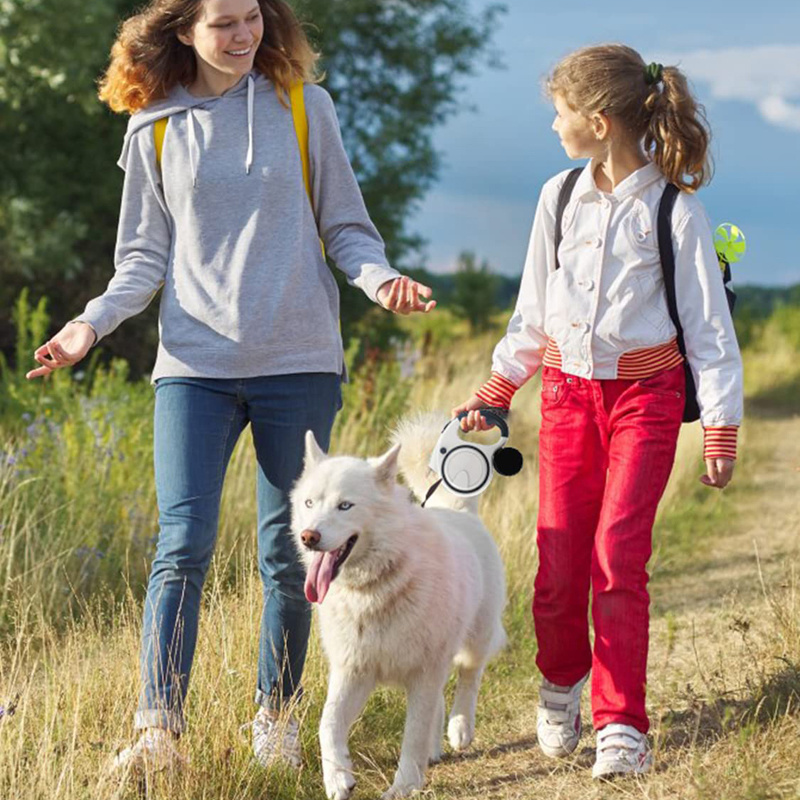 Perro pequeño usando correa retráctil Benepaw