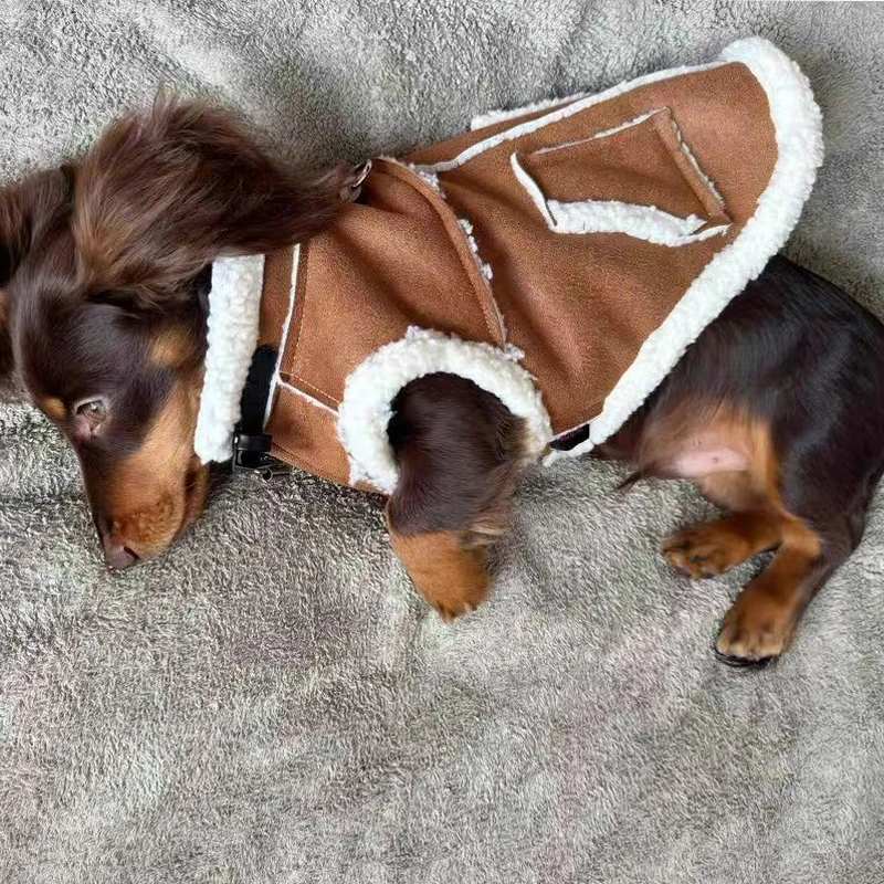 Chaleco de invierno con piel para perros salchicha, chaleco grueso y cálido, ropa para perros salchicha a la moda, abrigo marrón para perros pequeños y medianos - imagen 5