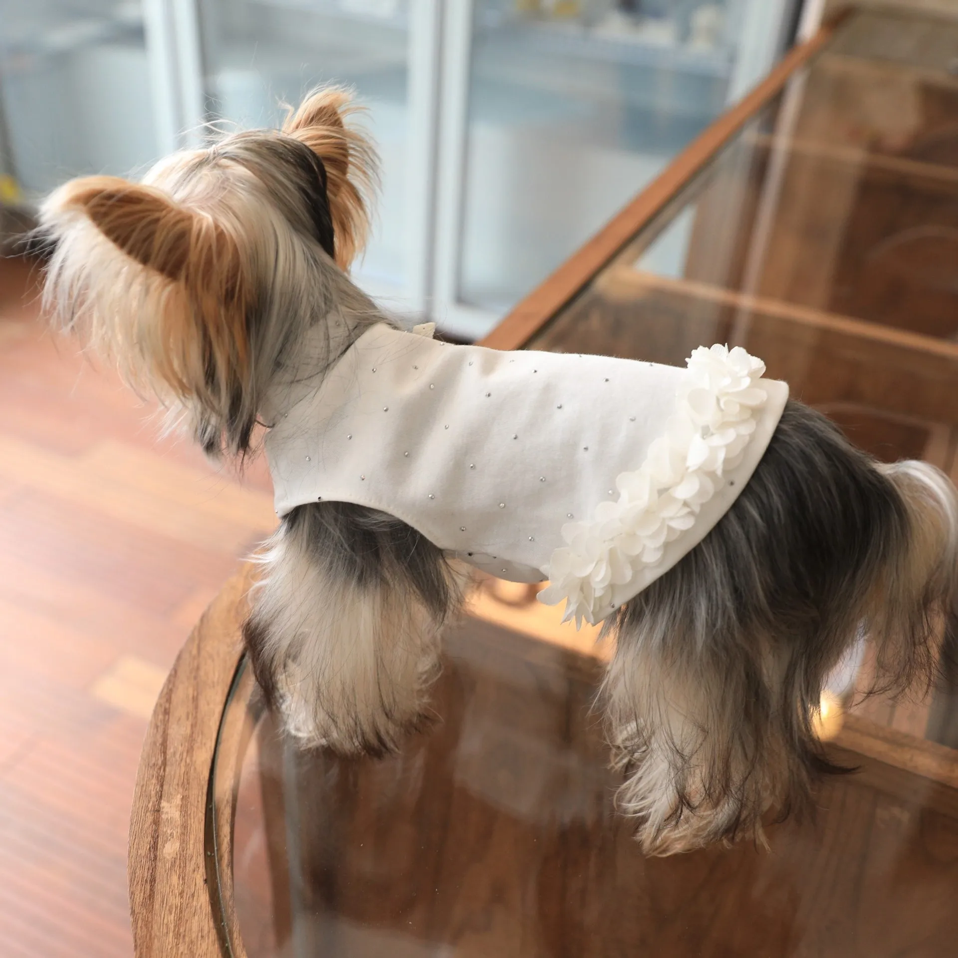 Camisa básica de Color sólido para mascotas, camiseta para gatos, dobladillo de encaje, vestido para perros y gatos, vestidos para perros pequeños, ropa para cachorros