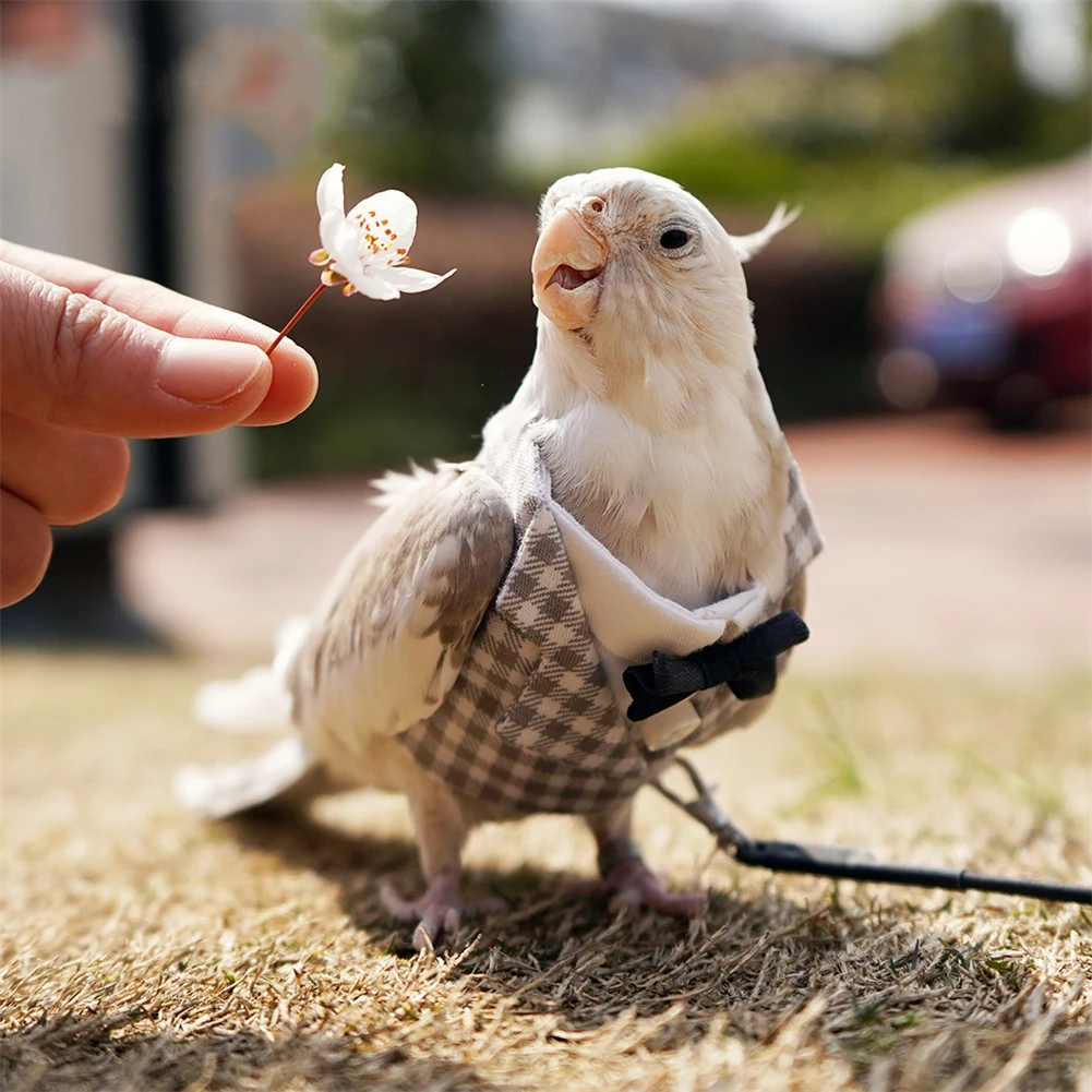 Ropa de negocios para pájaros lindos, uniforme escolar, esmoquin, periquito, cacatúa, espectáculo de fiesta de cumpleaños, utilería para fotos de Cosplay, traje de vuelo para loros - imagen 4
