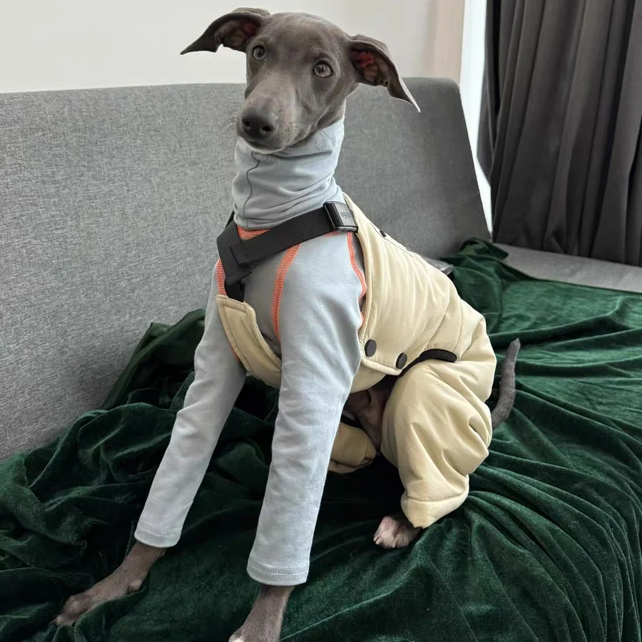 Mono cargo grueso para Galgo Italiano y Whippet – Otoño invierno - imagen 3
