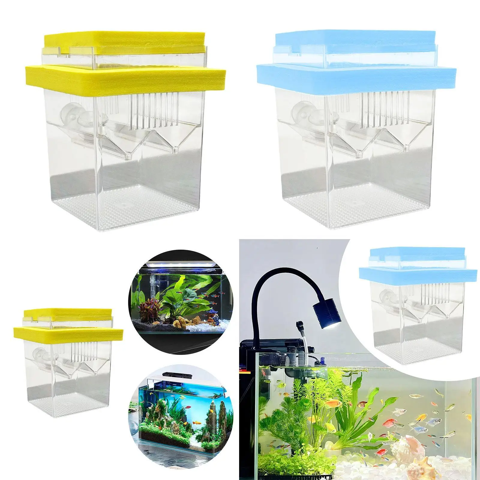Incubadora flotante, caja de cría de peces, vivero de peces pequeños, caja de incubación de aislamiento de huevos para camarones, Betta, Guppy Fish - imagen 4