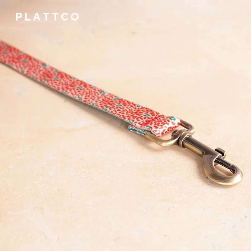Correa de perro estampada leopardo rojo con hebilla de bronce - imagen 5