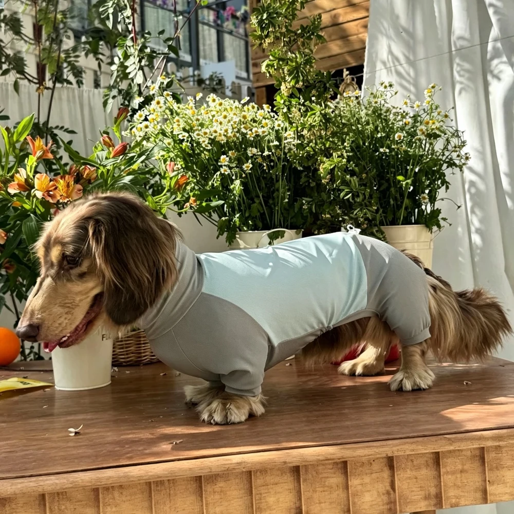 Camiseta transpirable para perro salchicha con espalda ajustable