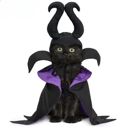 Set de Halloween para perro y gato con capa, sombrero y manto cómodo
