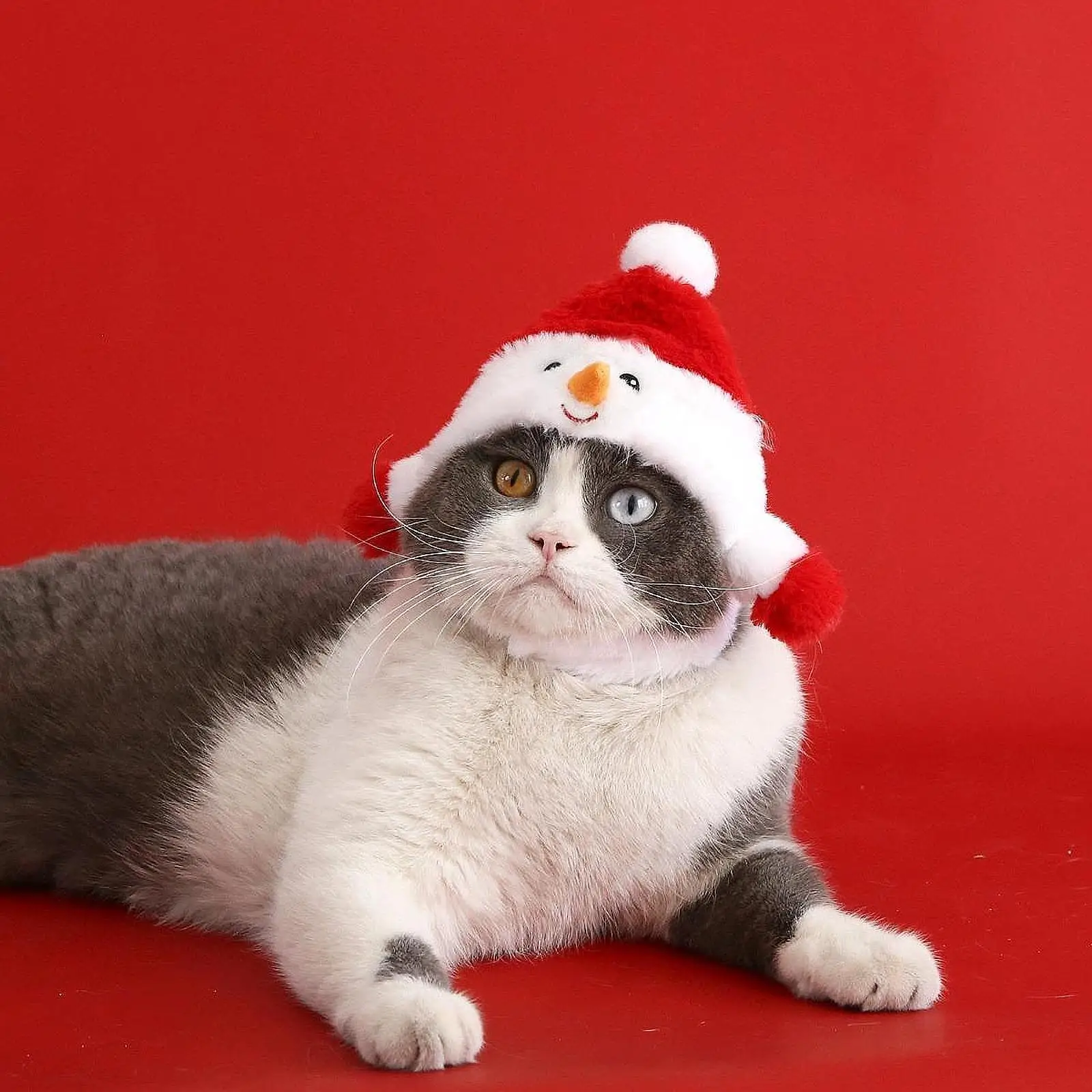 Dog Cat Christmas Hat Pet Cats Cap Winter Creative Costume Soft Head Accessories Headgear Cap for Puppy Dogs Cats Holiday Party