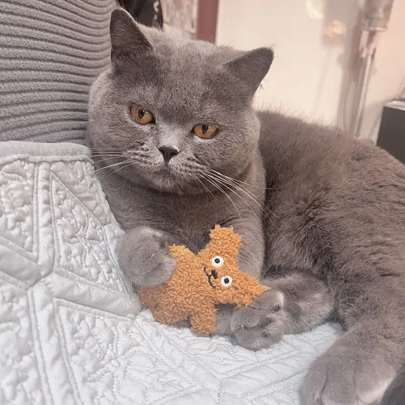 Muñeco de menta para Gato, juguete de peluche para perros, juguete de peluche, accesorios para perros Pomerianos, juguetes para perros pequeños, juguetes para cachorros - imagen 4