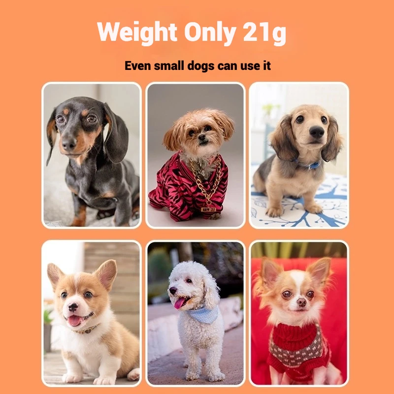 Luz nocturna de pulpo para artefacto para caminar con perros, productos para mascotas, luz LED, colgante iluminado, antipérdida, Collar impermeable - imagen 2