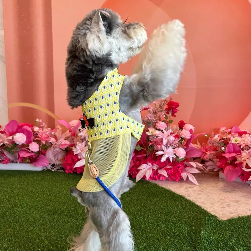 Conjunto de correa de arnés para perro de lujo, chaleco refrescante para perro de verano para Schnauzer maltés, arnés de malla transpirable ajustable para caminar al aire libre - imagen 3