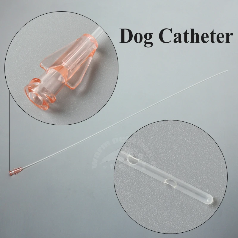 Catéter uretral estéril para perros, catéteres urinarios caninos, piedra uretral, 500mm de lado abierto, consumibles veterinarios - imagen 2