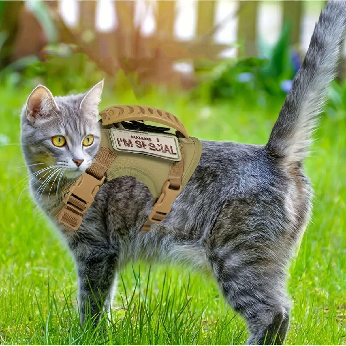 Arnés ajustable para gatos grandes o perros pequeños, accesorios para animales para gatos, entrenamiento para caminar y aventuras al aire libre