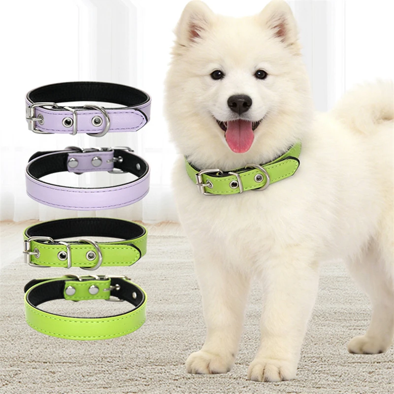 Collar de cuero acolchado transpirable para perros y gatos cómodo - imagen 4