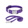 Collars and Leashes
