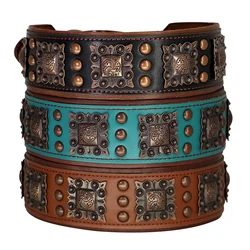Collar con pinchos de cuero para Pitbull y Bulldog – Ajuste regulable