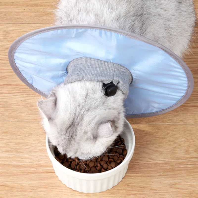 Verstellbares elisabethanisches Katzenhalsband, Haustier-Schutzhalsband für Katzen, kleine Hunde, Kätzchen, Anti-Biss, Nachbetrieb, Schutzhülle - imagen 3