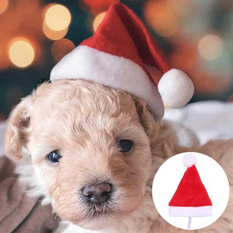 Sombrero de Papá Noel para mascotas, sombrero de Navidad para perros, gatos, cachorros pequeños, adornos de disfraces de vacaciones, accesorios de Cosplay, gorras, suministros para fiestas de Navidad para mascotas - imagen 4