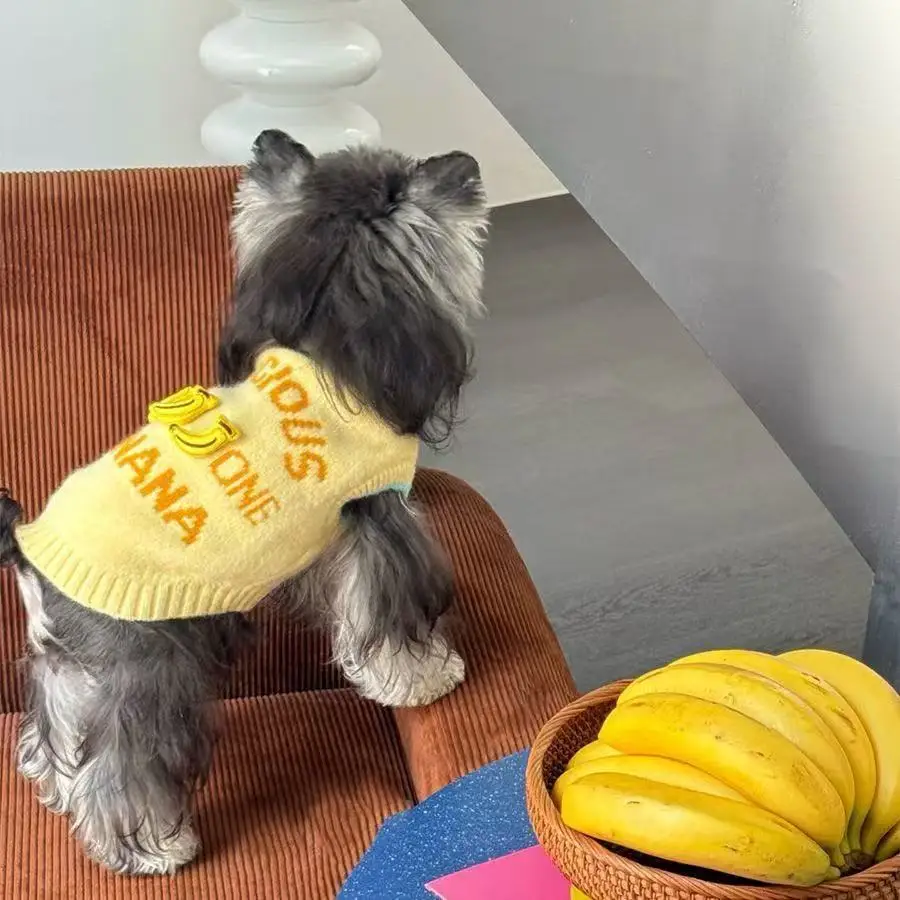 Chaleco tejido de dibujos animados de otoño e invierno, suéter bordado bonito, ropa cálida para mascotas, ropa para perros y gatos de amor para perros pequeños