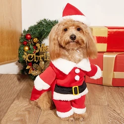 Disfraz de Papá Noel para perros pequeños y medianos, Bulldog Francés incluido