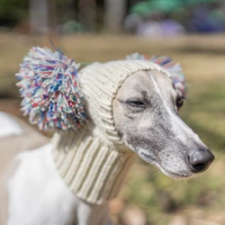 Gorra de lana para Whippet y galgo italiano – invierno con bola