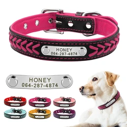 Collar de cuero con placa grabada – Placa identificativa perro