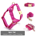Harness Collar Set