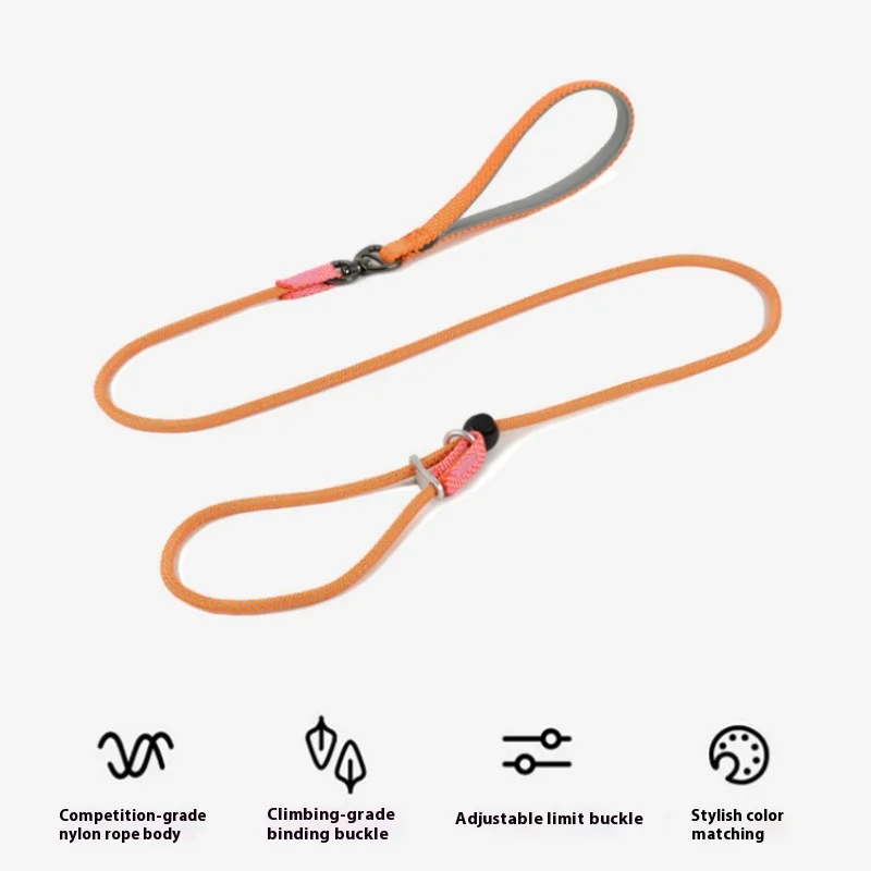 Cuerda redonda para perros, Collar de cadena P ligero para perros pequeños y medianos, correa para caminar, suministros para mascotas - imagen 3