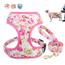 Arnés para perros y gatos con estampado y correa de malla suave
