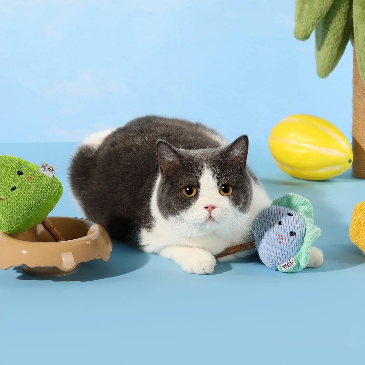 Juguetes de peluche de hierba gatera para gatos, palitos para masticar de Poligono, juguetes para rascar de dentición para gatos, palos de madera Natural, juguetes interactivos para gatos - imagen 5