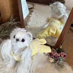 Ropa de otoño e invierno para mascotas, vestido de mono Estilo Princesa para perros y gatos para maltés, traje Formal bonito y cálido para perros pequeños