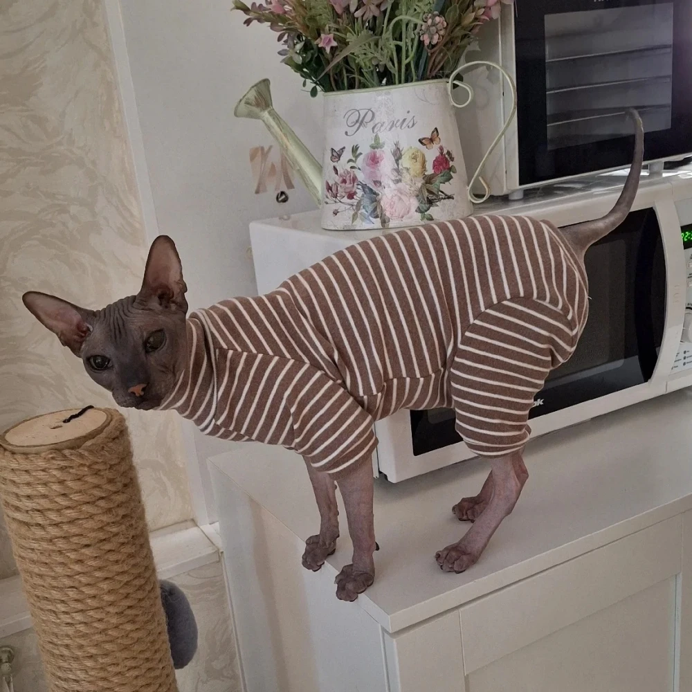 Abrigo de invierno para gatos Sphynx y Devon Rex – Algodón - imagen 3