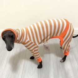 Traje de algodón a rayas para galgo italiano y whippet, para perros