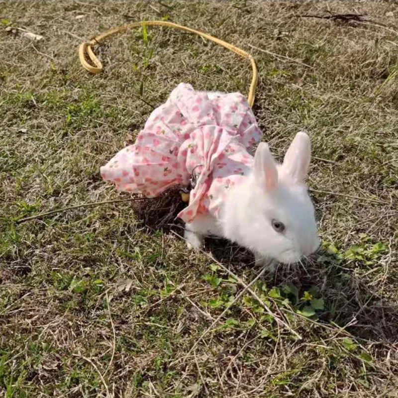 Lindo vestido Floral con correa para conejos, ropa de verano para mascotas, conjunto de arnés de conejito ajustable, vestidos antideslizantes de conejo de algodón suave - imagen 3