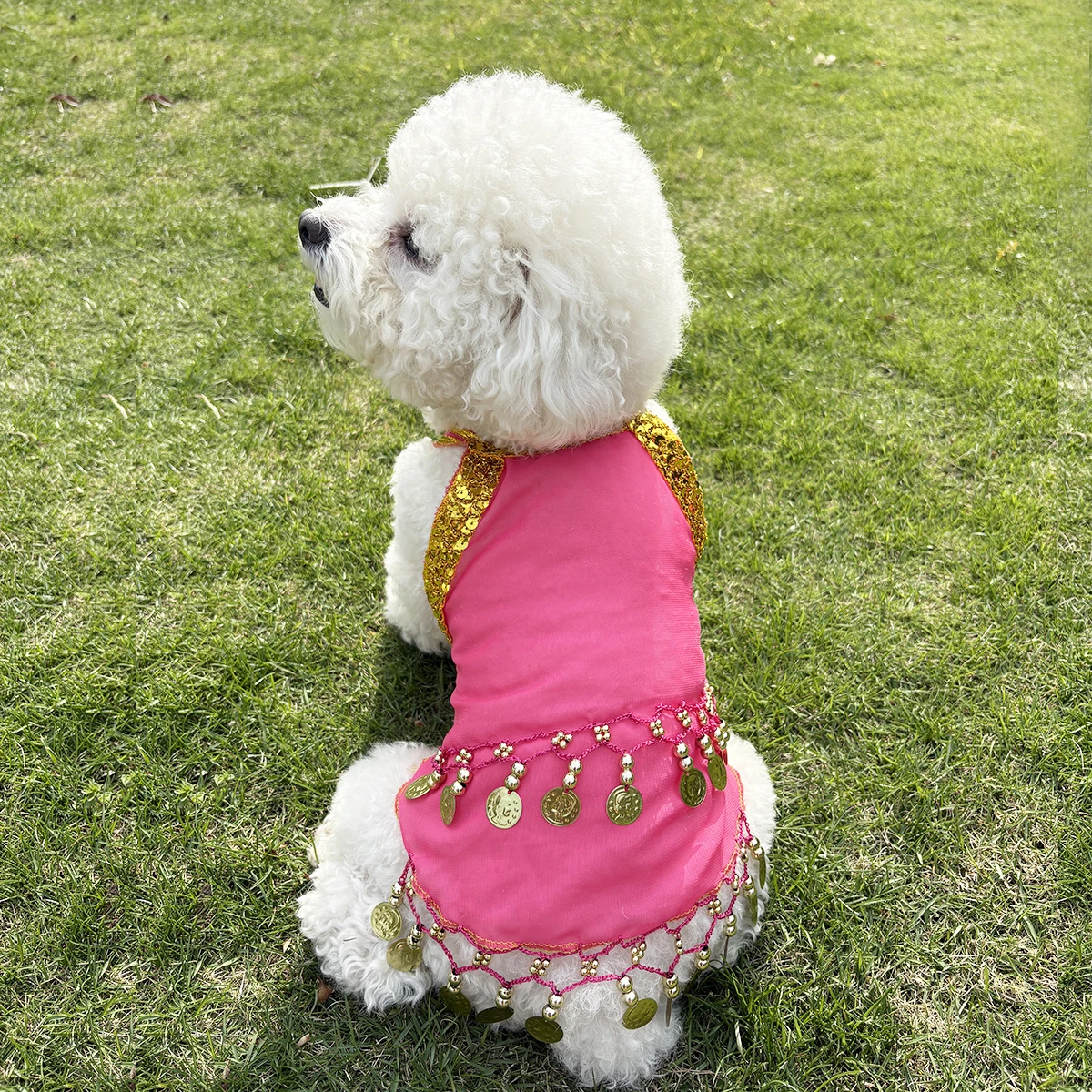 Vestido transpirable de verano para perros pequeños y gatos – Rosa - imagen 3