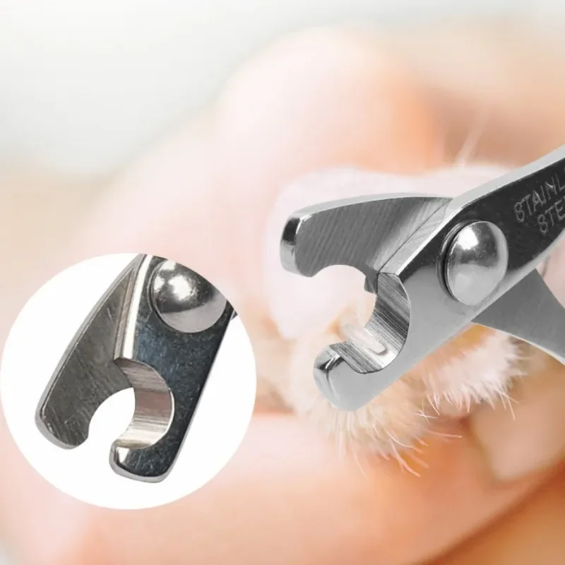 Cortauñas para perros, cortaúñas de acero inoxidable para perros, herramienta de limpieza de patas, cuidado de mascotas, tijeras para uñas de cabeza pequeña, suministros para mascotas - imagen 2