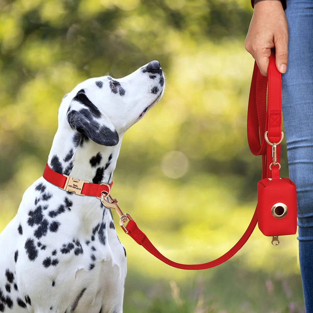 Correa de Collar de perro personalizada con bolsa, collares de cuero PU con hebilla para perros, correa para caminar para mascotas, bolsas de residuos para perros pequeños y medianos, Pug - imagen 5