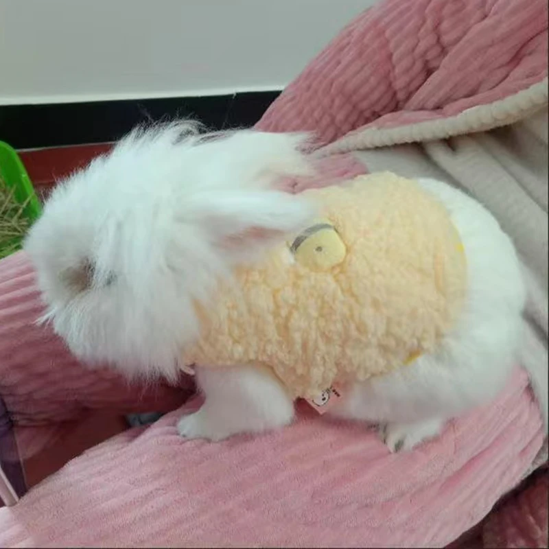Suéter cálido de conejo para animales pequeños, disfraz de conejillo de indias, Chinchillas, hurón, ropa para mascotas recién nacidas, invierno - imagen 4