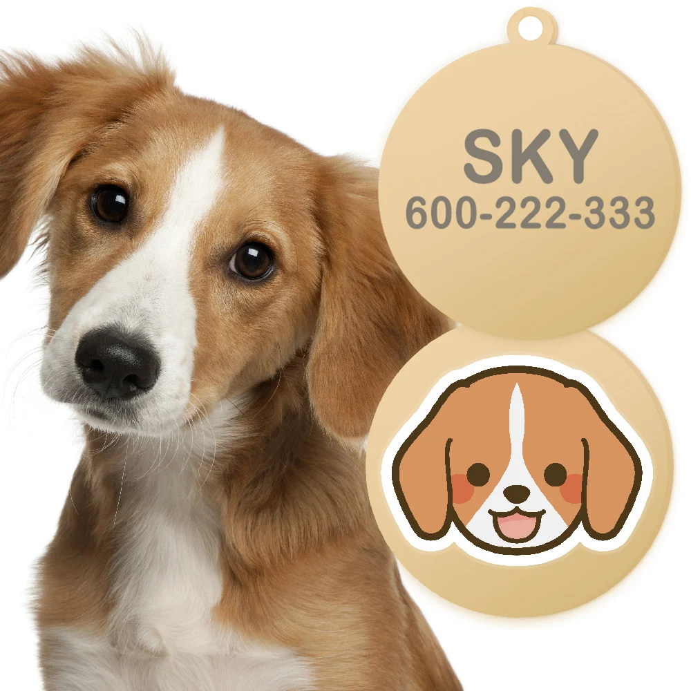 Etiqueta de nombre de perro personalizada Impresión de inyección de tinta UV personalizada Placa de identificación personalizada Dirección Teléfono Bulldog Francés Teddy - imagen 4