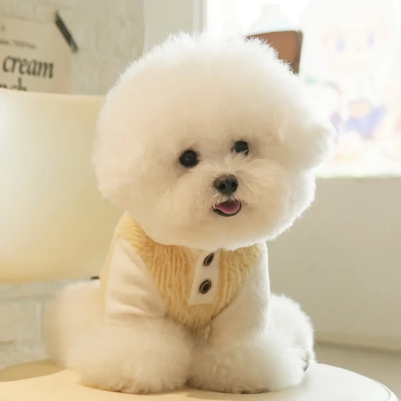 Perro polar capa base de dos patas suave invierno suéter para perros pequeños caniche cachorro de peluche ropa de otoño invierno - imagen 3