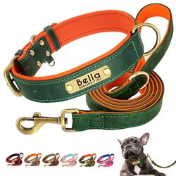 Collar identificativo para perros – Grabado y acolchado suave