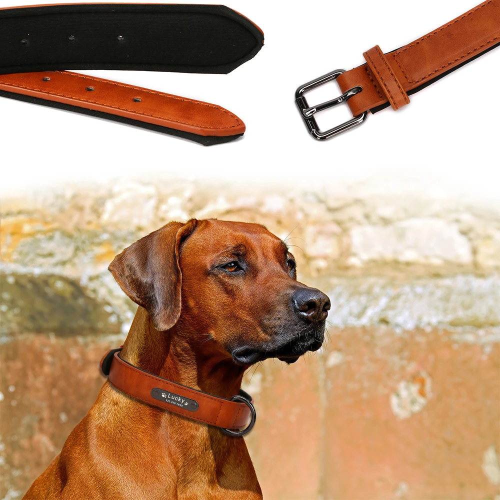 Collar personalizado de piel para perros - 10 colores - imagen 2