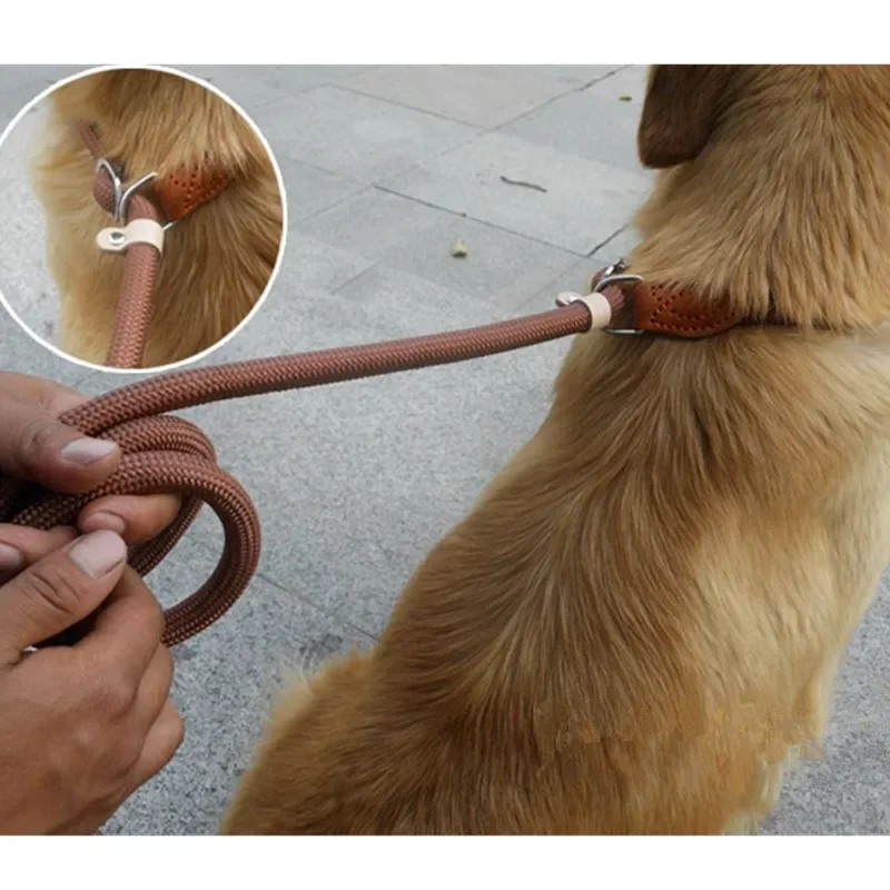 Correa para caminar para perros, cuerda antideslizante, correa de plomo, cuerda trenzada resistente, Collar de bucle ajustable, correas de entrenamiento para perros grandes - imagen 2