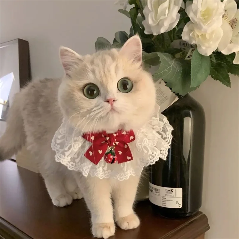 Lindo pajarita Collar de encaje ajustable gato perro Baberos cachorro pañuelo pañuelos Collar corbata Correa bufanda Estilo Princesa - imagen 3