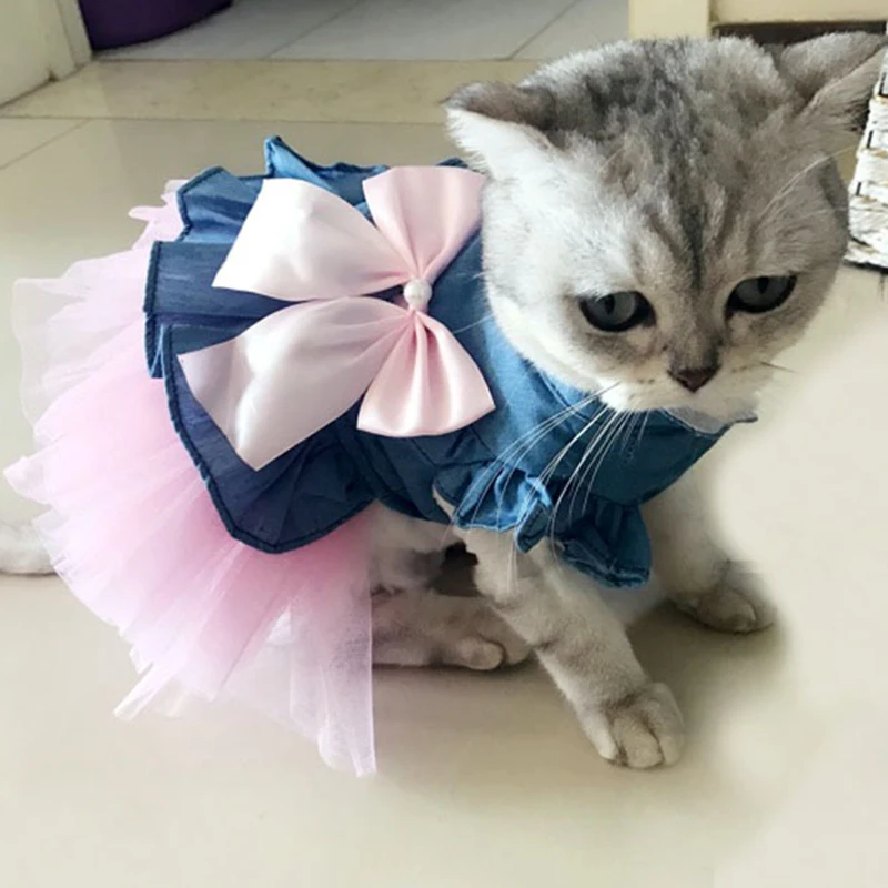 Vestido vaquero Sphynx para gato, falda de verano para niña, ropa para mascotas para gatos, Gotas, gatito, Garfield, disfraz de mascotas, ropa para perros - imagen 5