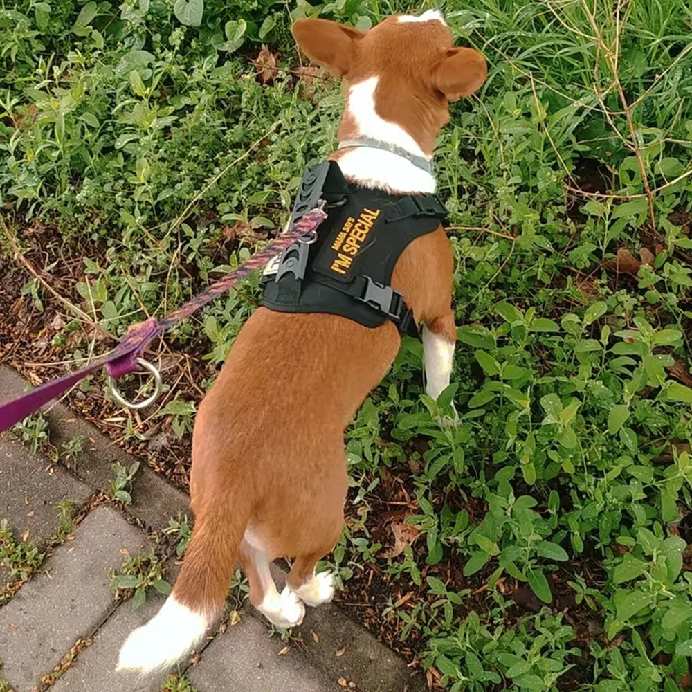 Arnés táctico antiescape con asa, correa para gatos y perros pequeños - imagen 5