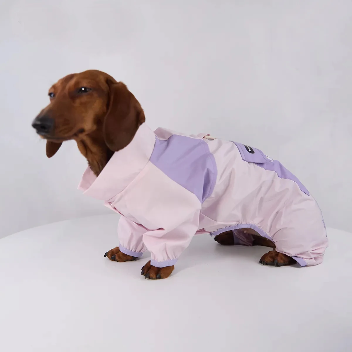 Impermeable cortavientos para perros salchicha pequeños y medianos - imagen 5