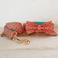 Bow Tie Collar Leash