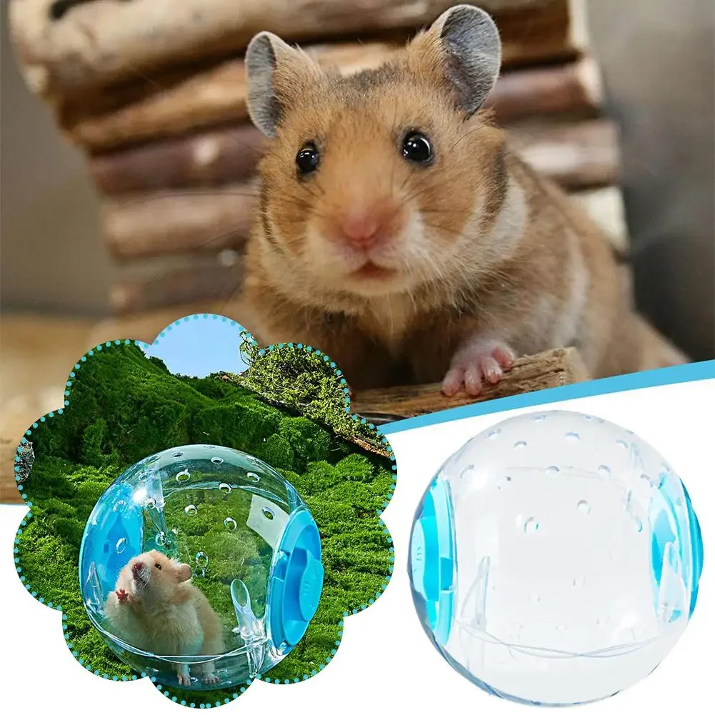 Pelota deportiva transparente para rata, ratones pequeños para mascotas, pelota para correr, juguete para hámster, gerbil, pelota de ejercicio, juguete para juego, suministros para mascotas pequeñas - imagen 4