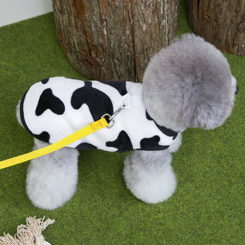 Chaleco de lana invierno para perros Chihuahua y Dachshund - imagen 4