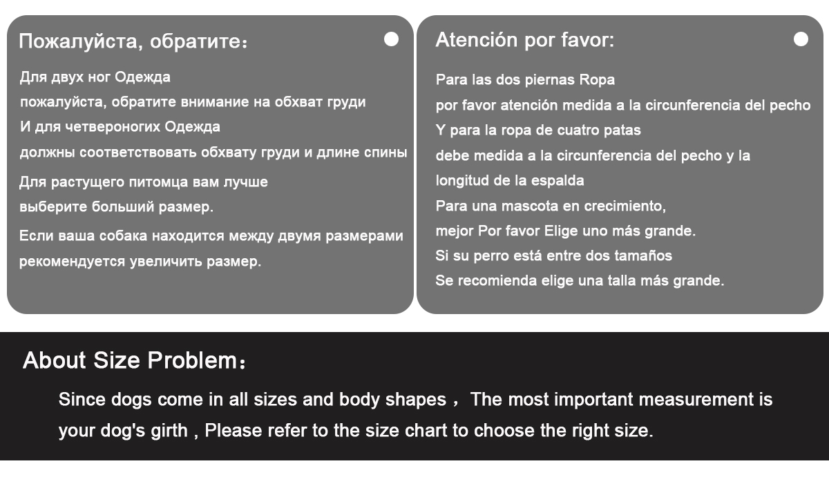 Slim Fit - Corte elegante y ajustado